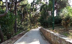 Private Bedrooms In Shared Apartment 135 Sm Athens Center
